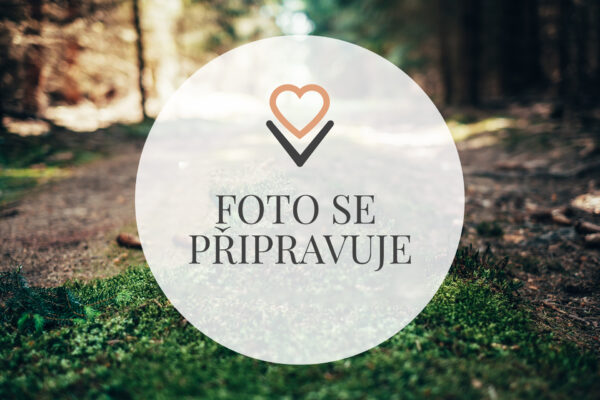 foto se pripravuje